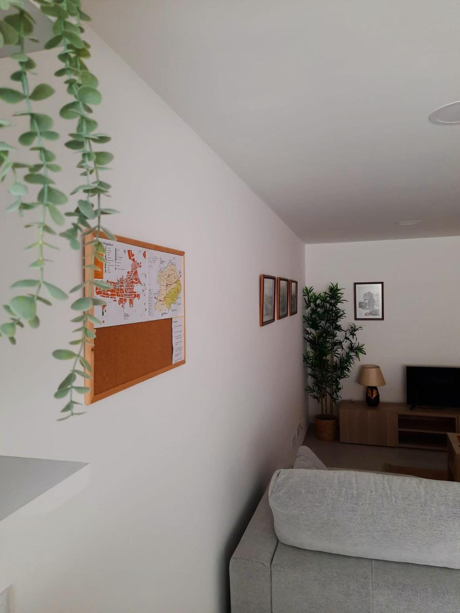 A Toca Dos Coelhos Apartment Mogadouro  Exterior photo